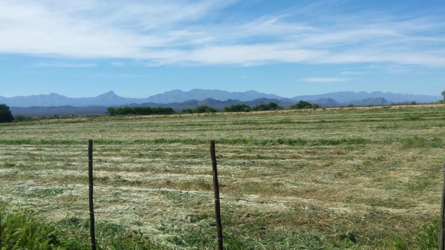 0 Bedroom Property for Sale in Oudtshoorn Rural Western Cape